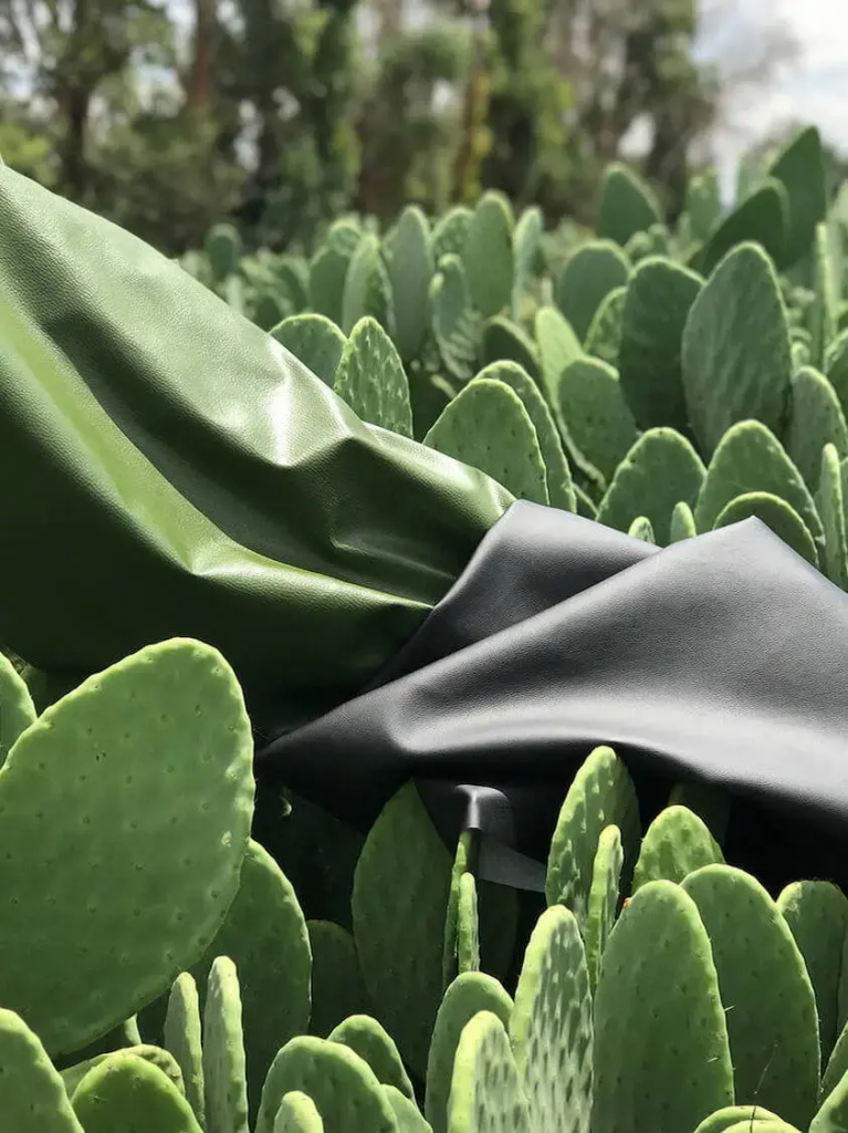 Can cacti be made into vegan leather?-Nleather