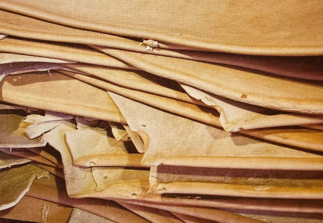 Image [10]-Veg-tan Process Explained: How Rawhide Becomes Thick, Durable Leather Using Natural Tannins in a 21-Step Journey from Rawhide to Finished Product-Nleather