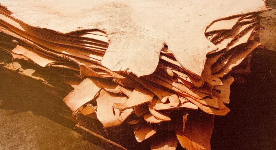 Image [13]-Veg-tan Process Explained: How Rawhide Becomes Thick, Durable Leather Using Natural Tannins in a 21-Step Journey from Rawhide to Finished Product-Nleather
