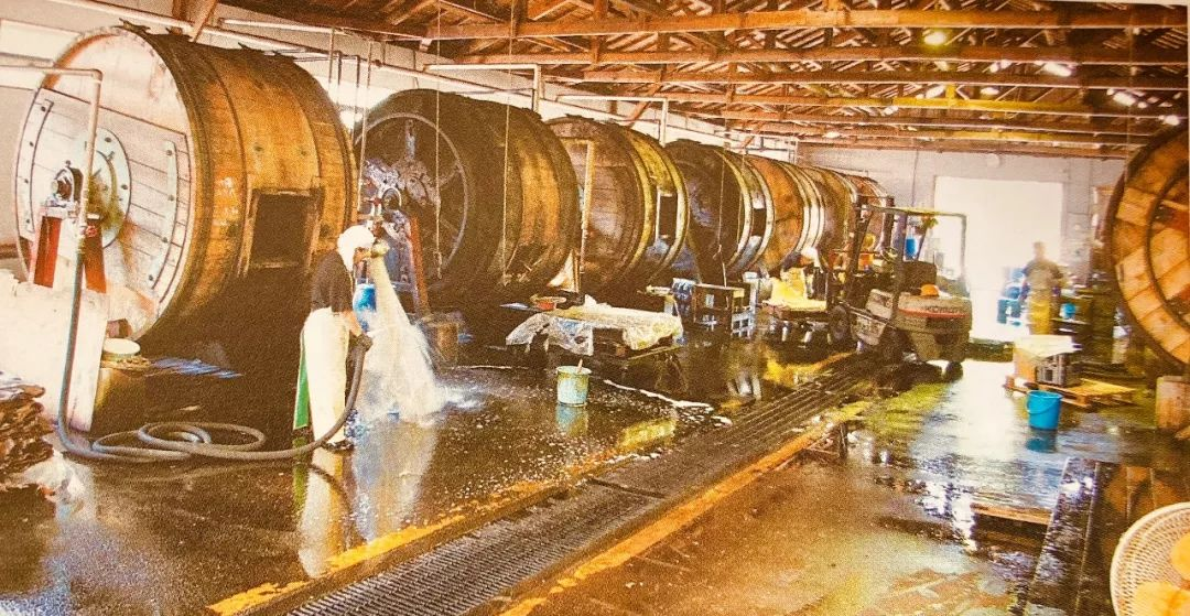 Image [15]-Veg-tan Process Explained: How Rawhide Becomes Thick, Durable Leather Using Natural Tannins in a 21-Step Journey from Rawhide to Finished Product-Nleather