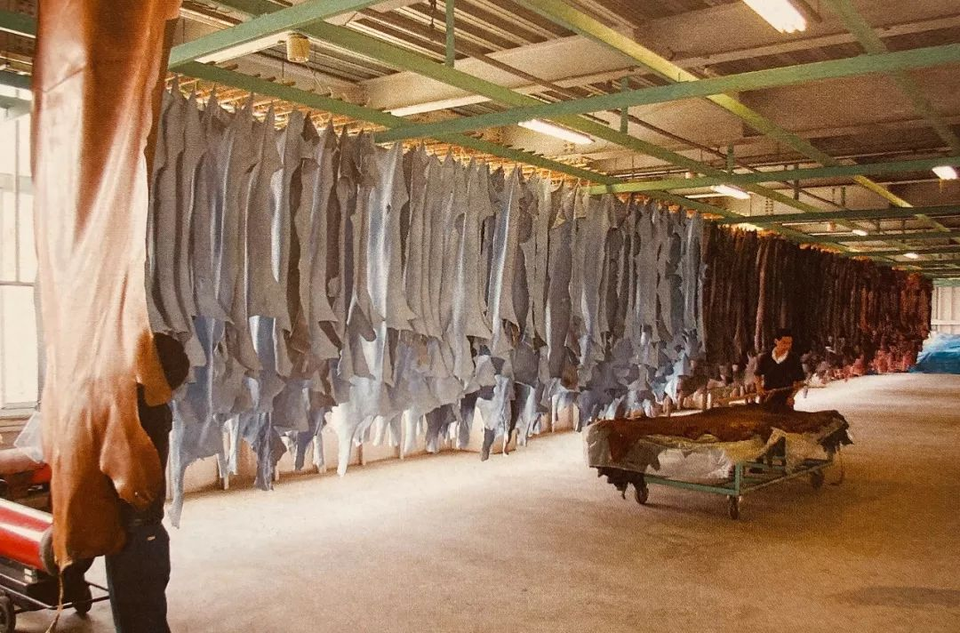 Image [19]-Veg-tan Process Explained: How Rawhide Becomes Thick, Durable Leather Using Natural Tannins in a 21-Step Journey from Rawhide to Finished Product-Nleather