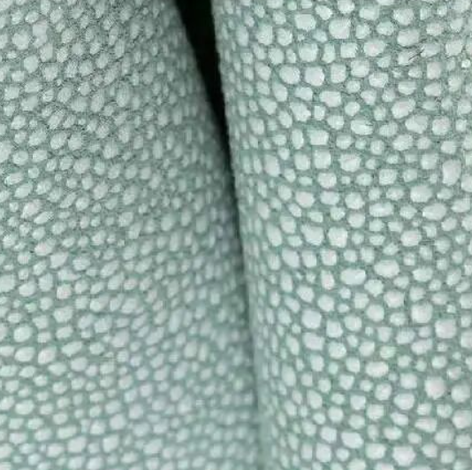 Image [13]-Leather Surface Techniques and Types: Digital Printing, Nappa, Nubuck, Stingray, Suede, and Alcantara Explained for Furniture and Fashion Applications-Nleather