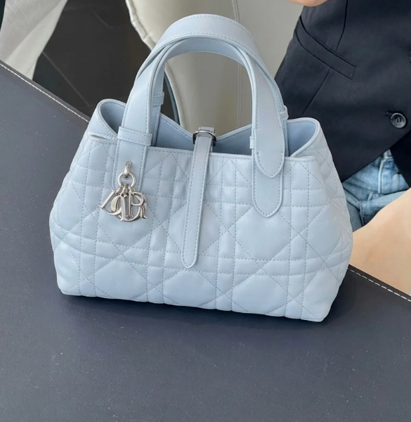 Image [5]-How to Classify Leather of Luxury Bags? Before Buying, Know the Key Differences Between Lambskin, Calfskin, Pebbled, and Canvas for Better Care-Nleather