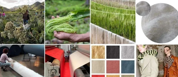 Image [5]-Bio-based Leather from Fruit Waste and Agricultural Byproducts: Sustainable Alternatives for Fashion, Luxury, and Sportswear Brands-Nleather