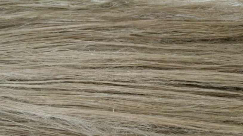Image [11]-Fabric Pros and Cons: Detailed Analysis of Cotton, Linen, Silk, Wool, Polyester, and Blended Fabrics with Advantages and Disadvantages-Nleather