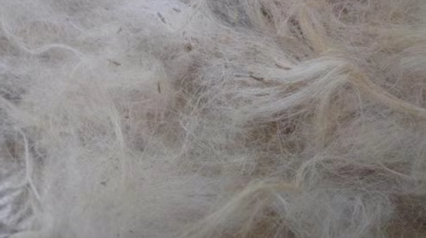 Image [19]-Fabric Pros and Cons: Detailed Analysis of Cotton, Linen, Silk, Wool, Polyester, and Blended Fabrics with Advantages and Disadvantages-Nleather