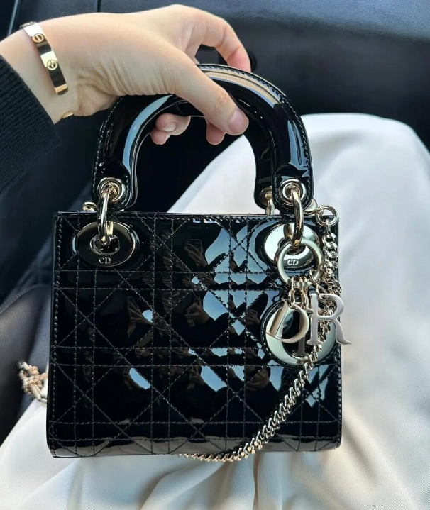 Image [5]-Analysis of Eight Popular Bag Materials: Lambskin, Lychee Cow Leather, Togo, Patent, Crocodile, Lizard, Suede and Their Pros and Cons-Nleather