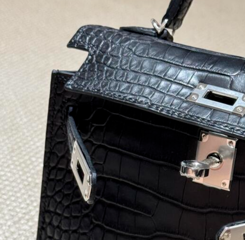 Image [6]-Analysis of Eight Popular Bag Materials: Lambskin, Lychee Cow Leather, Togo, Patent, Crocodile, Lizard, Suede and Their Pros and Cons-Nleather