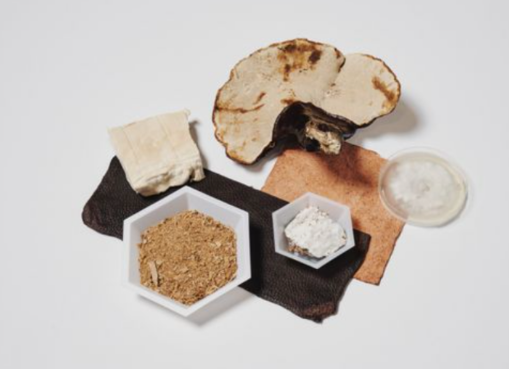 Image [2]-Vegan leather is a hot hit in the fashion world – Nleather-Nleather