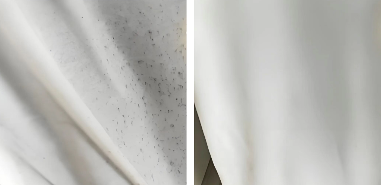 Image [3]-Mold Prevention: Stunning Tips to Save Your Belongings – Nleather-Nleather
