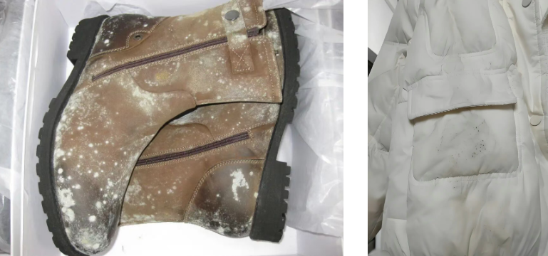 Image [2]-Mold Prevention: Stunning Tips to Save Your Belongings – Nleather-Nleather